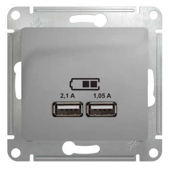 Розетка USB 2-ая (для подзарядки), Алюминий, серия Glossa, Schneider Electric