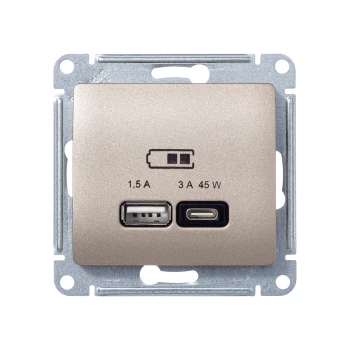 Розетка USB 2-ая Тип А+С 45 Вт (для подзарядки), Титан, серия Glossa, Schneider Electric