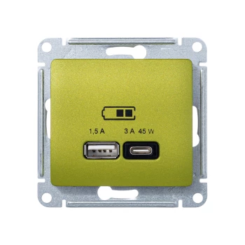 Розетка USB 2-ая Тип А+С 45 Вт (для подзарядки), Фисташковый, серия Glossa, Schneider Electric