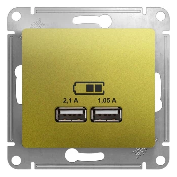Розетка USB 2-ая (для подзарядки), Фисташковый, серия Glossa, Schneider Electric