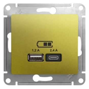 Розетка USB 2-ая Тип А+С, 2400 мА (для подзарядки), Фисташковый, серия Glossa, Schneider Electric