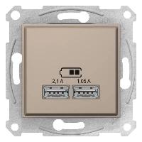 Розетка USB 2-ая (для подзарядки), Титан, серия Sedna, Schneider Electric